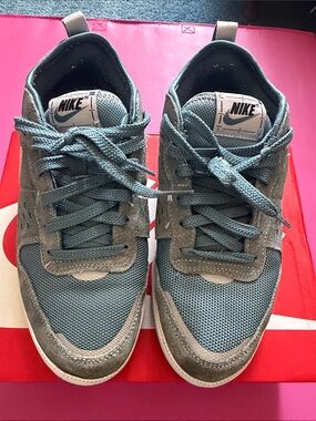 Nike Dunks Blue Leather & Mesh Sneakers